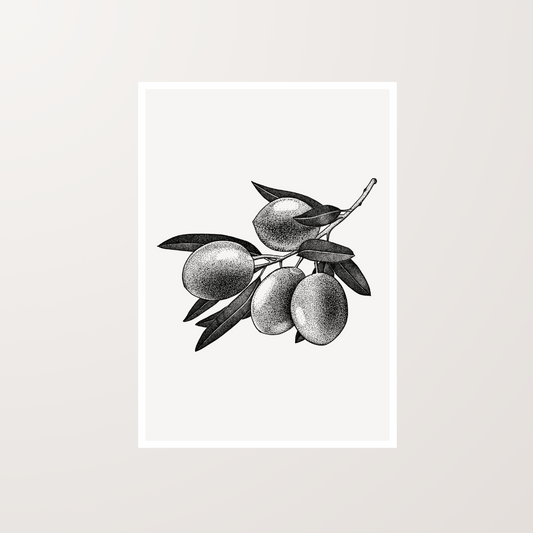 Olives Digital Stippling Still Life Artwork Art Print For Sale