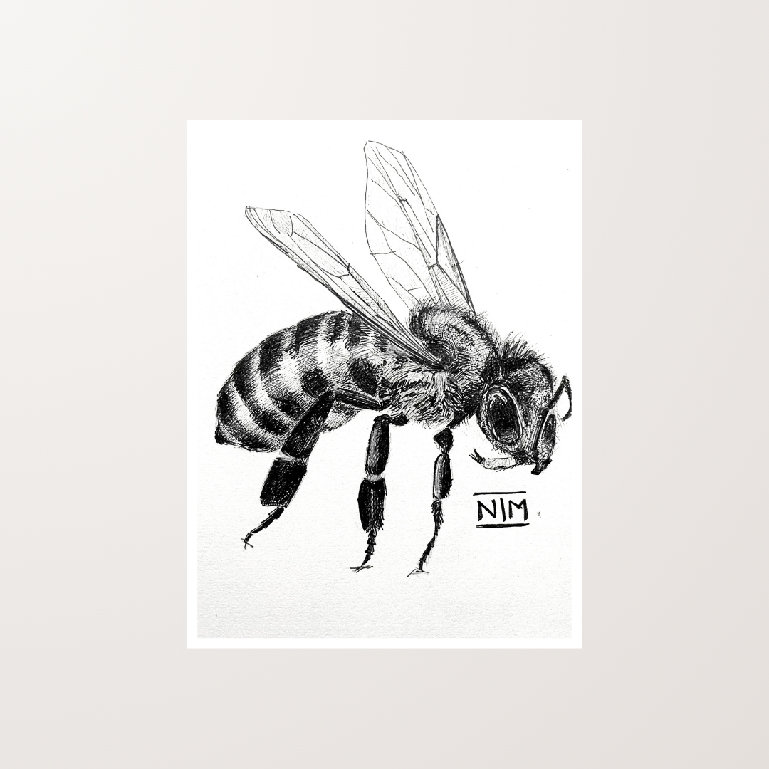 Bee Ink Pen Artwork Art Print For Sale