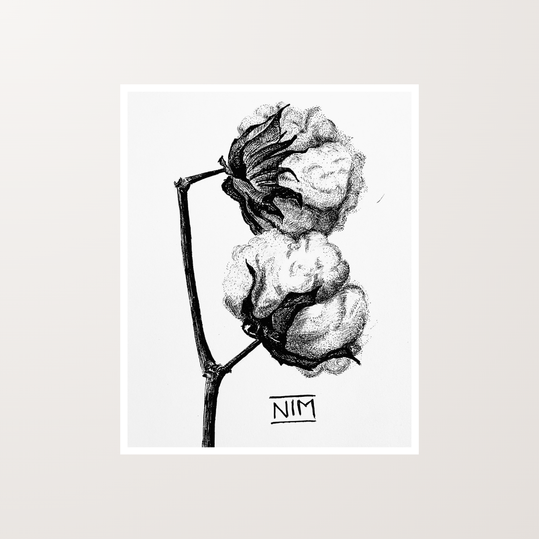 Cotton Flowers Ink Pen Artwork Art Print For Sale