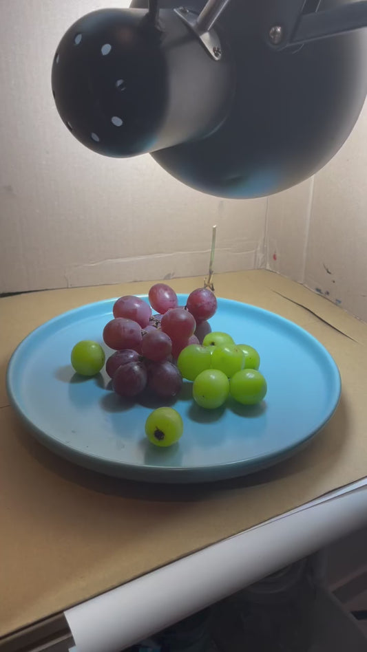 Grapes on a Blue Plate Still Life Original Oil Painting Artwork For Sale