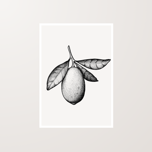 Lemon Digital Stippling Still Life Artwork Art Print For Sale