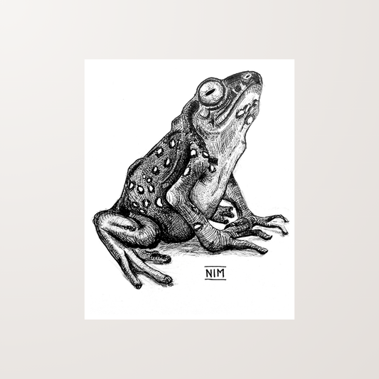 Frog Ink Pen Artwork Art Print For Sale