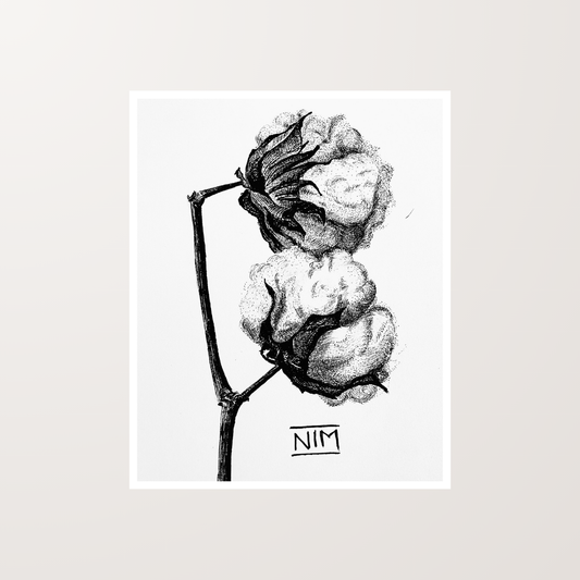 Cotton Flowers Ink Pen Artwork Art Print For Sale