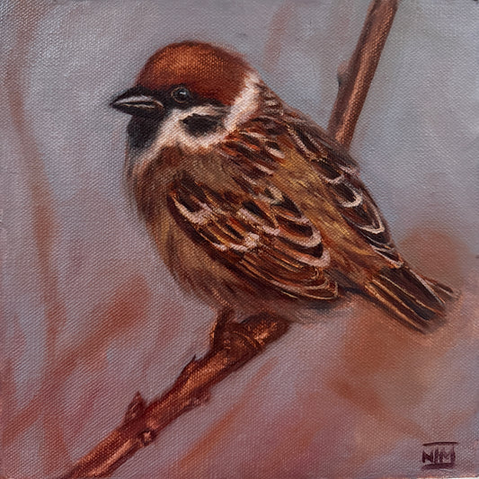 Eurasian Tree Sparrow Original Oil Painting Artwork For Sale