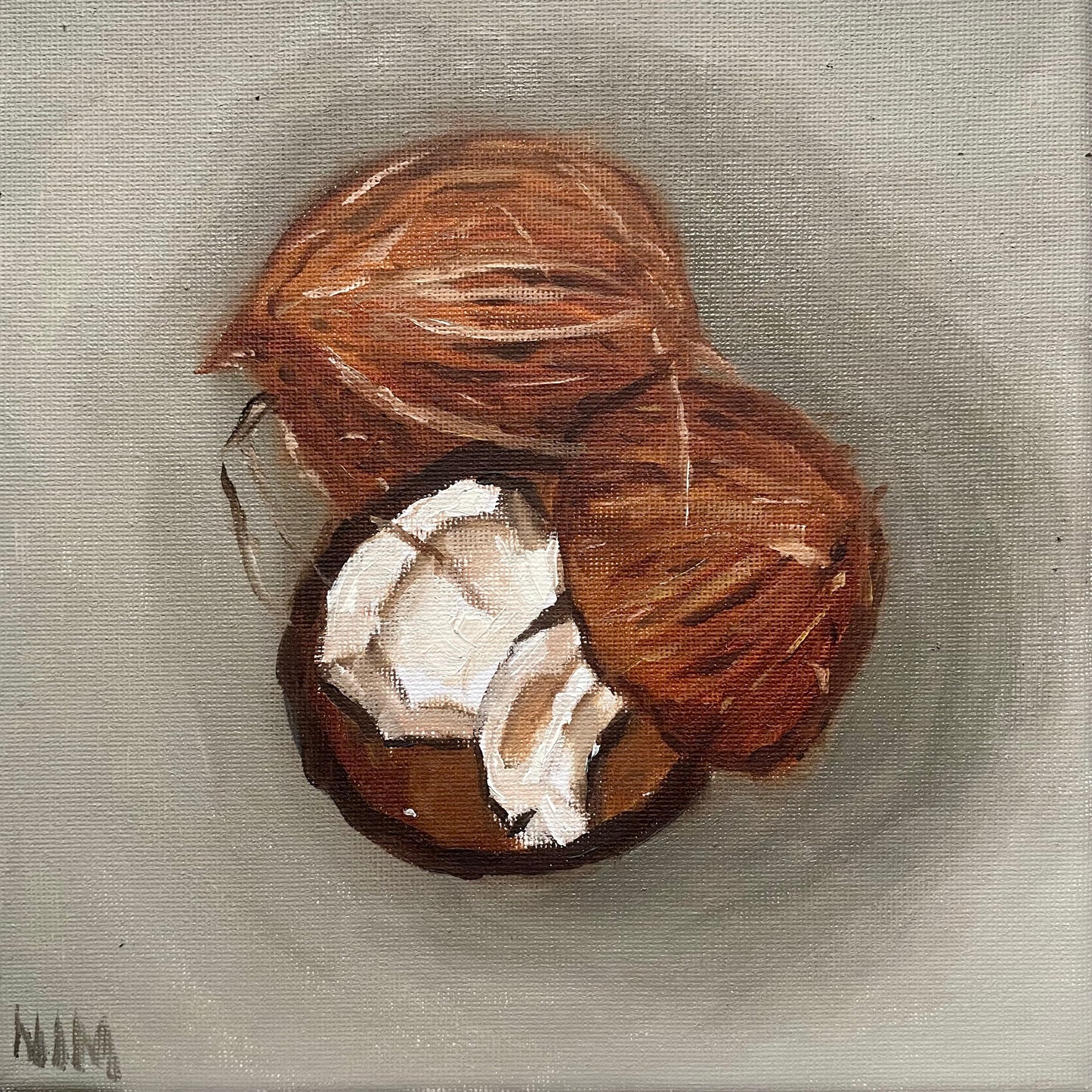 Coconuts Original Still Life Oil Painting Artwork For Sale