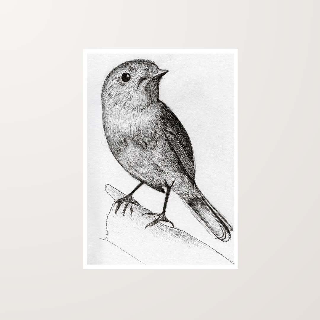 Bird Ink Pen Artwork Art Print For Sale