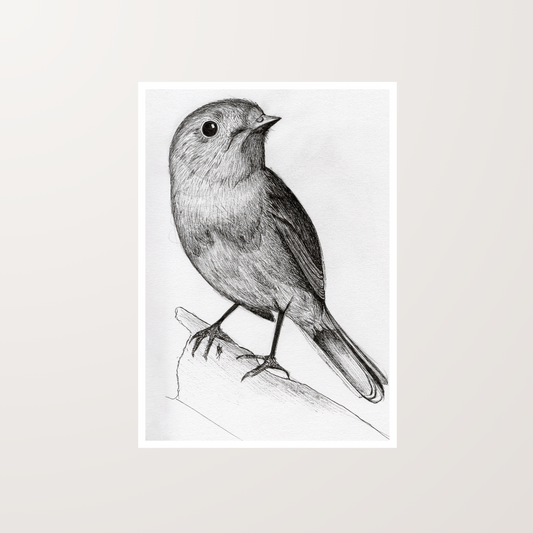 Bird - Print