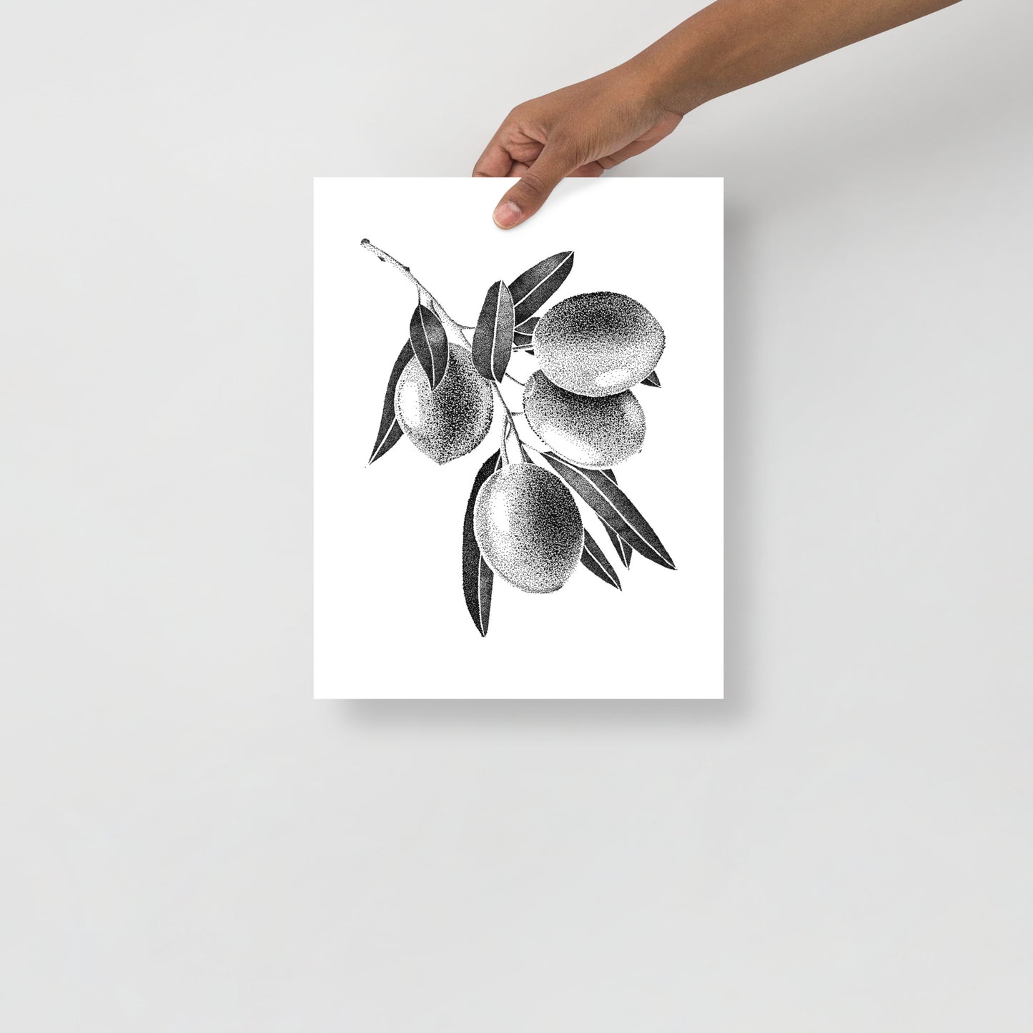 Olives Digital Stippling Still Life Artwork Art Print For Sale